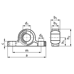 62055012